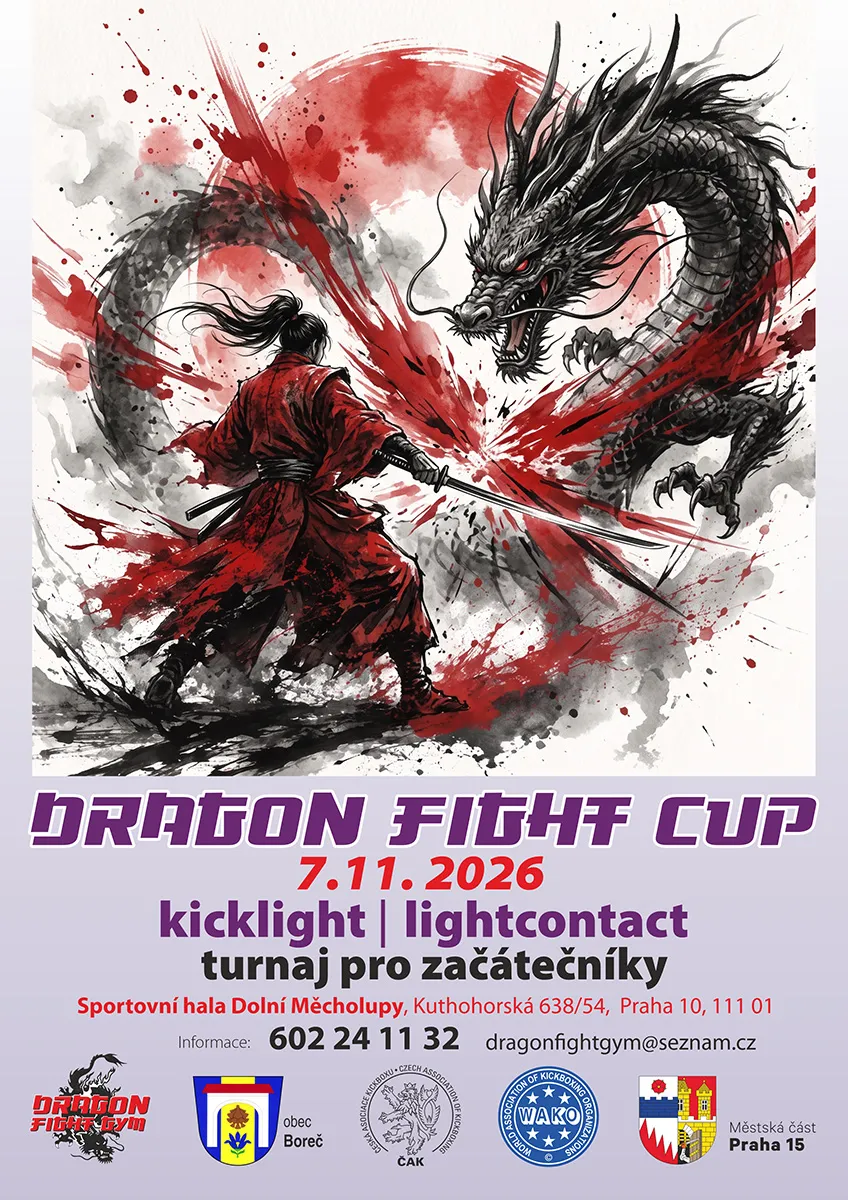 Dragon Fight