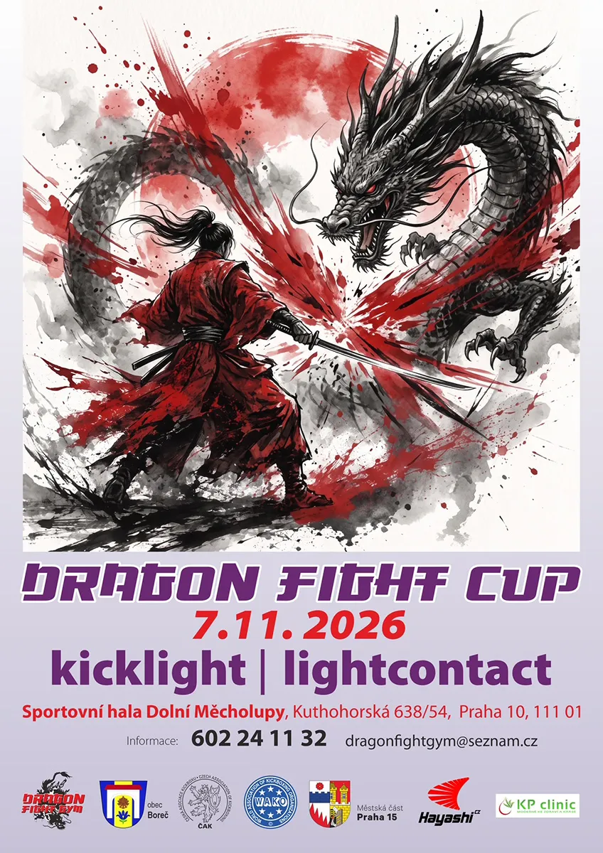 Dragon Fight